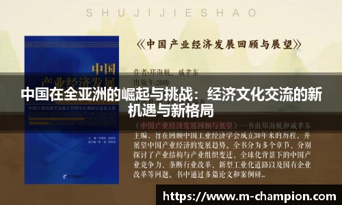中国在全亚洲的崛起与挑战：经济文化交流的新机遇与新格局